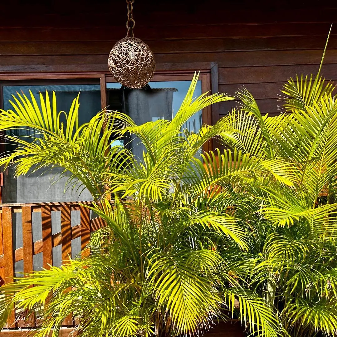 乡村民宿 Ecoco Holbox - Ecochic - Cabanas De Madera - Holbox Retreat