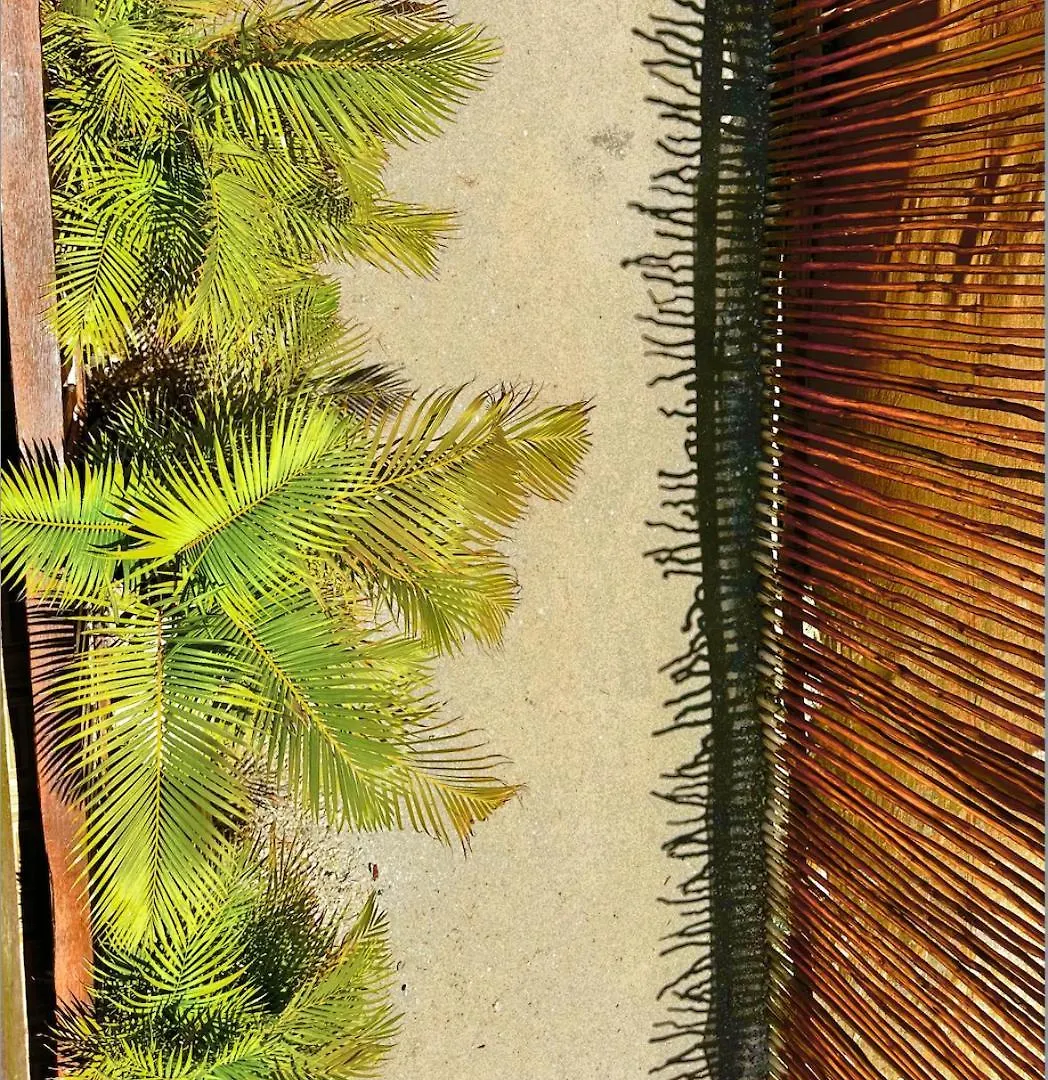 Séjour à la campagne Ecoco Holbox - Ecochic - Cabanas De Madera - Holbox Retreat Mexique