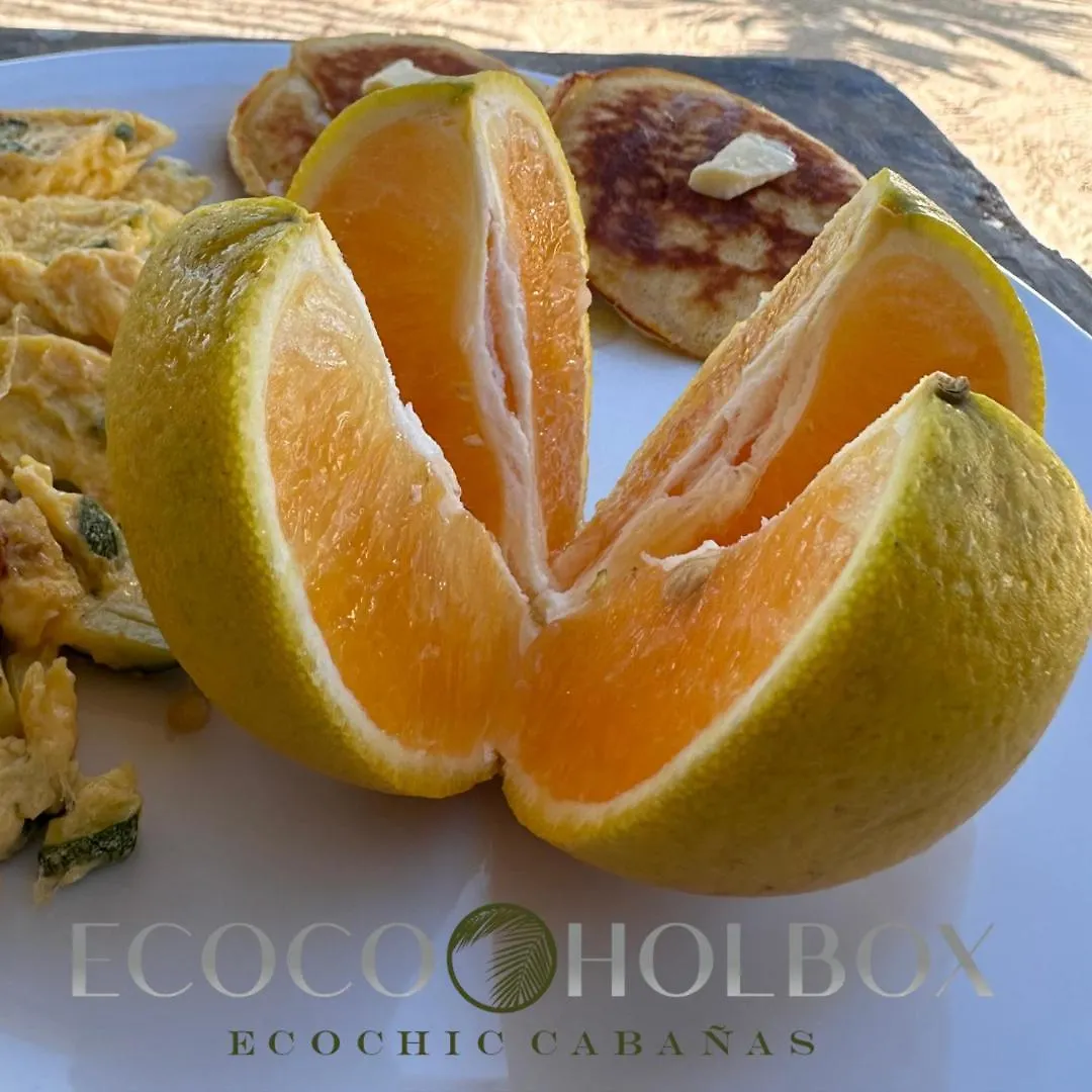Ecoco Holbox - Ecochic - Cabanas De Madera - Holbox Retreat Séjour à la campagne